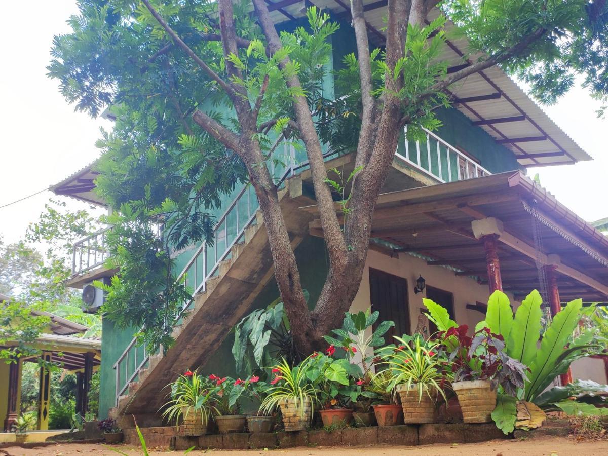 Jaana Guest Hotel Sigiriya Eksteriør billede