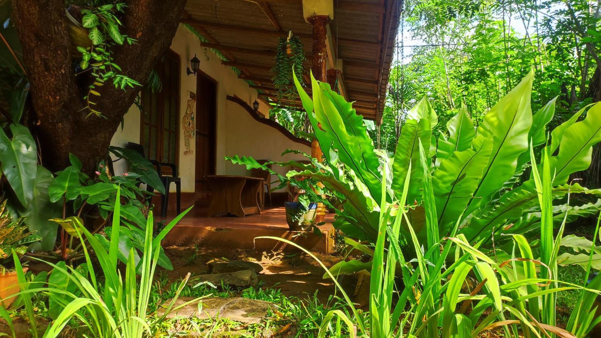 Jaana Guest Hotel Sigiriya Eksteriør billede