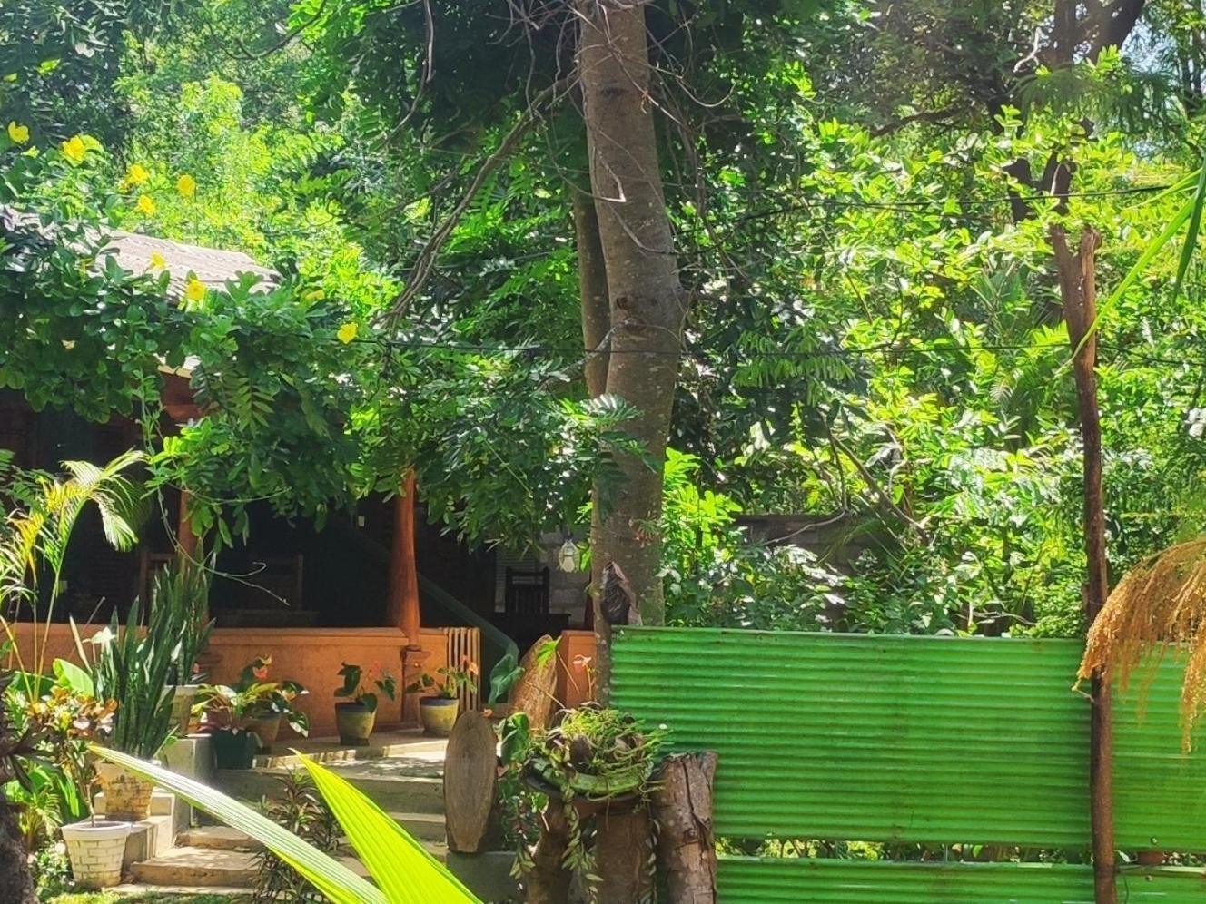 Jaana Guest Hotel Sigiriya Eksteriør billede