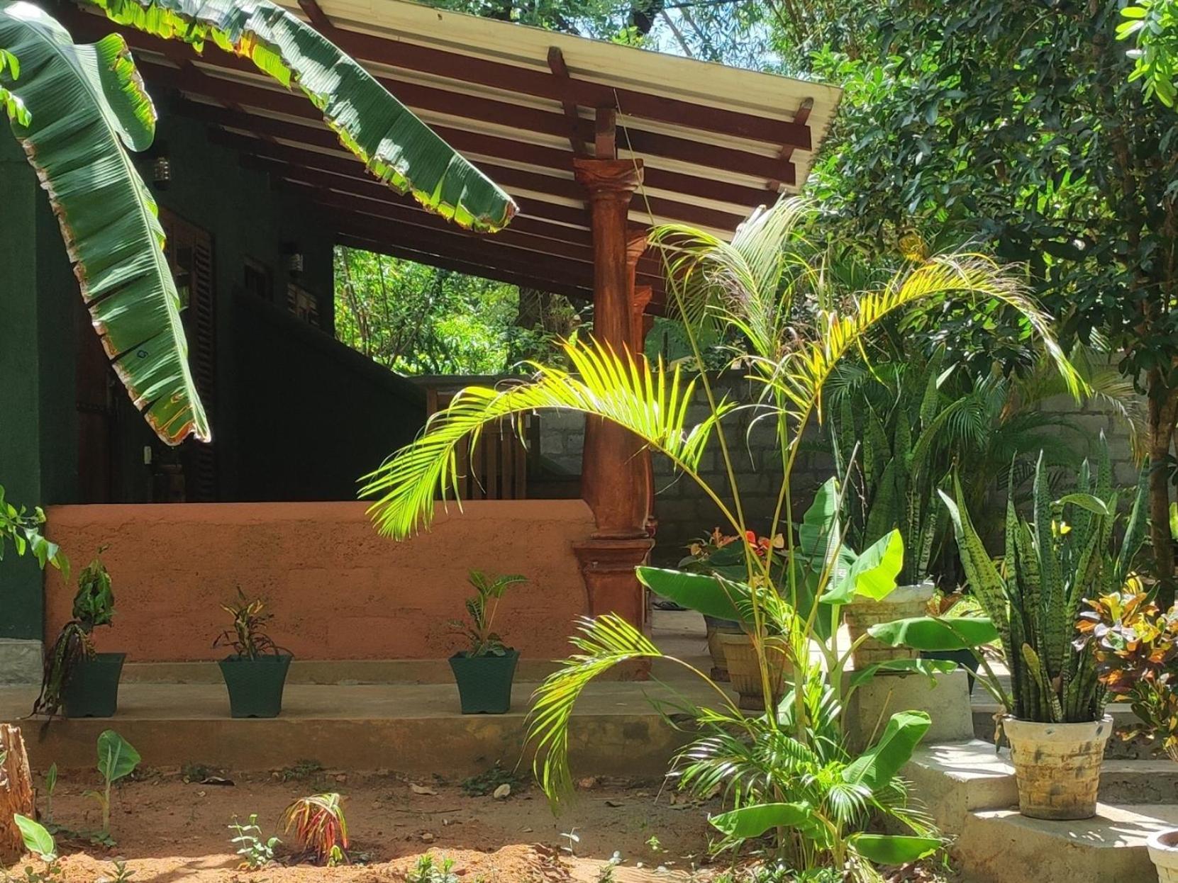 Jaana Guest Hotel Sigiriya Eksteriør billede